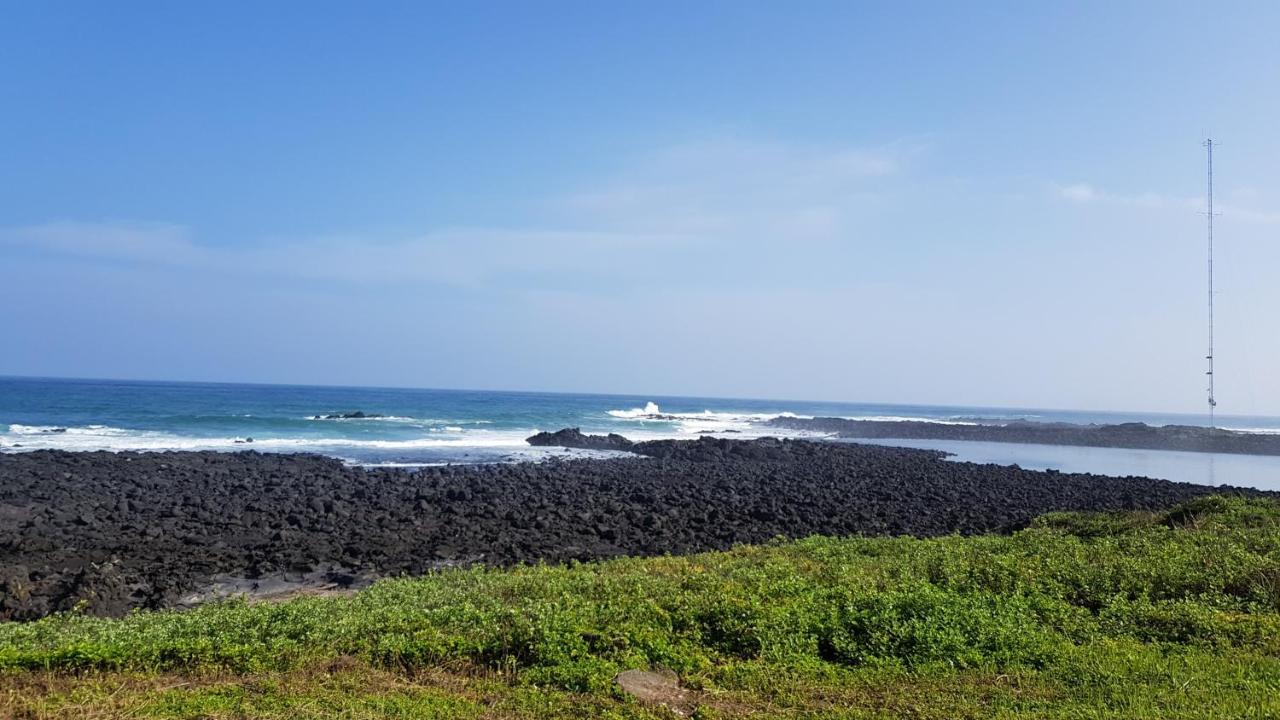 فيلا Wind House Sehwa-ri المظهر الخارجي الصورة